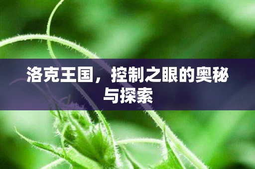 控制之眼的奥秘与探索图片