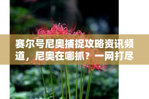 赛尔号尼奥捕捉攻略资讯频道图片