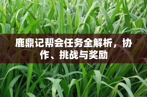 鹿鼎记帮会任务全解析图片