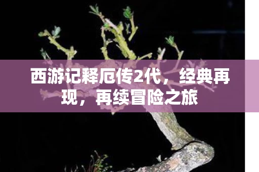 西游记释厄传2代图片