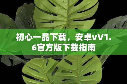 6官方版下载指南图片
