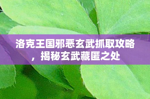 洛克王国邪恶玄武抓取攻略图片