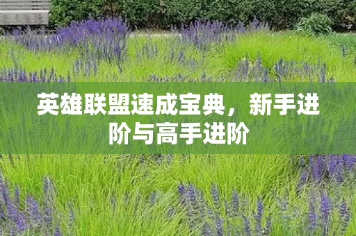 新手进阶与高手进阶图片