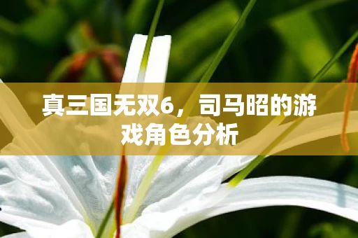 司马昭的游戏角色分析图片