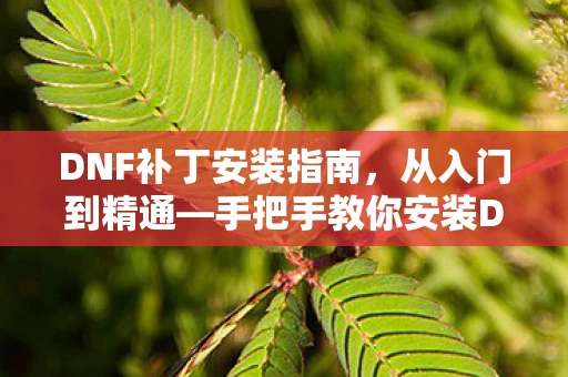 手把手教你安装DNF补丁图片