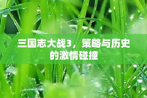 策略与历史的激情碰撞图片