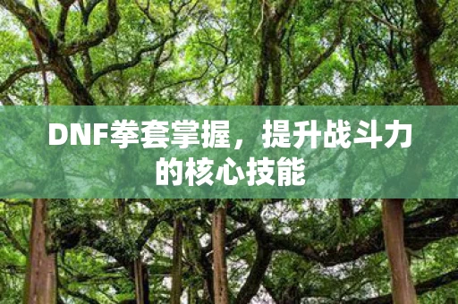 提升战斗力的核心技能图片