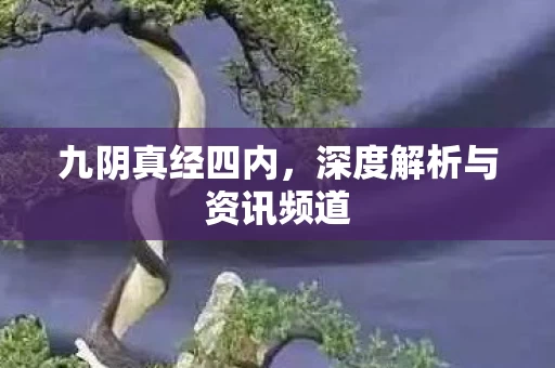 深度解析与资讯频道图片