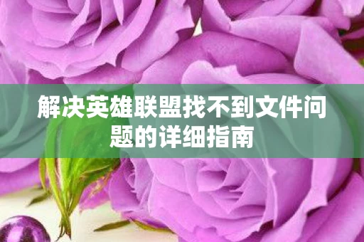 解决英雄联盟找不到文件问题的详细指南图片