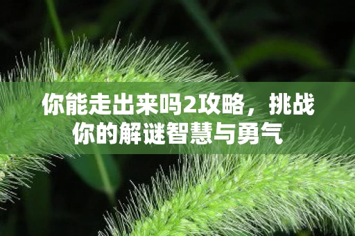 挑战你的解谜智慧与勇气图片