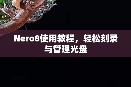 Nero8使用教程图片