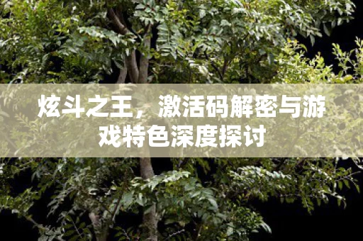 激活码解密与游戏特色深度探讨图片