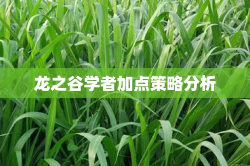 龙之谷学者加点策略分析图片
