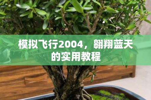 翱翔蓝天的实用教程图片