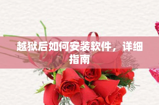 越狱后如何安装软件图片