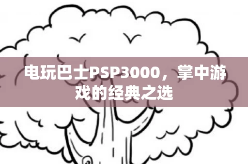 电玩巴士PSP3000图片
