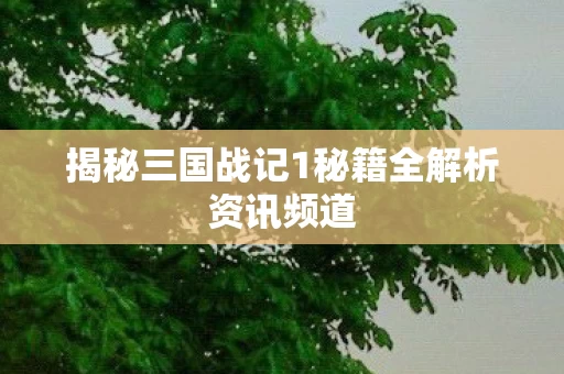 揭秘三国战记1秘籍全解析资讯频道图片