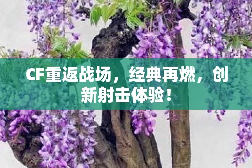 CF重返战场图片