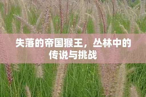 丛林中的传说与挑战图片