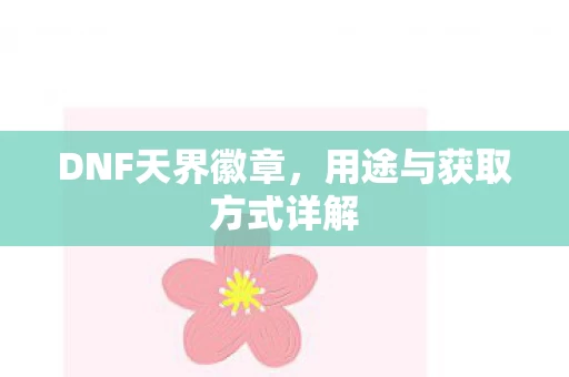 用途与获取方式详解图片