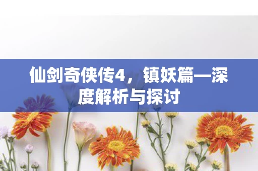 深度解析与探讨图片