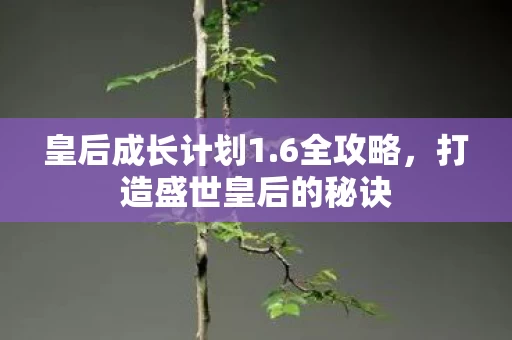 打造盛世皇后的秘诀图片