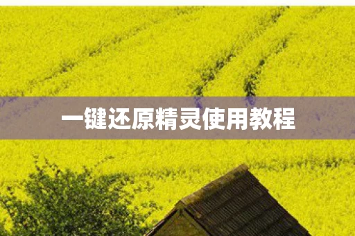 一键还原精灵使用教程图片
