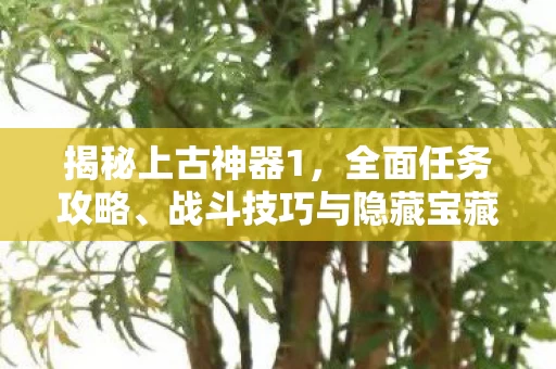 战斗技巧与隐藏宝藏大公开图片