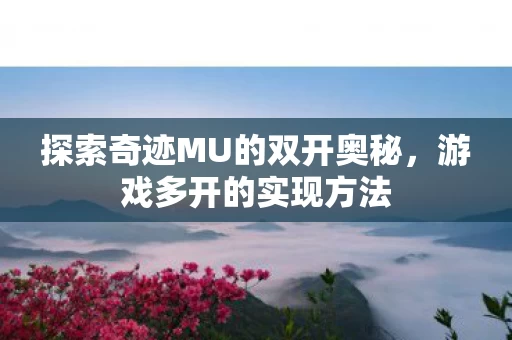 探索奇迹MU的双开奥秘图片