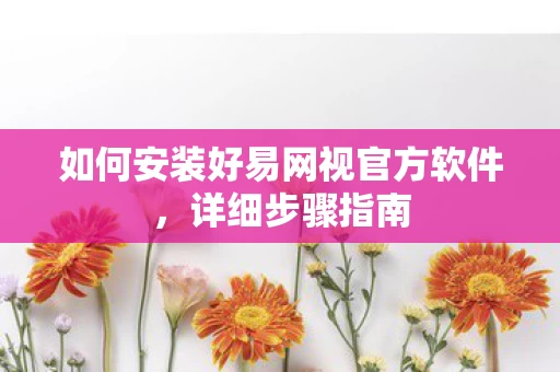 如何安装好易网视官方软件图片