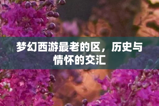 梦幻西游最老的区图片