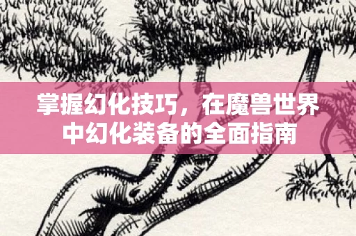 在魔兽世界中幻化装备的全面指南图片