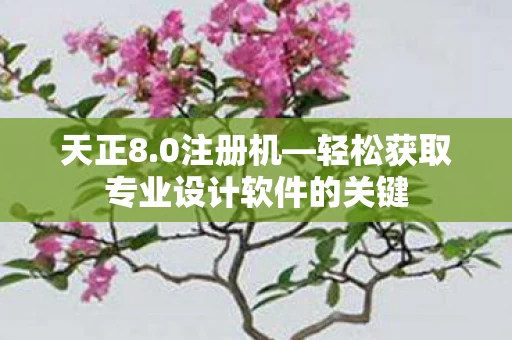 轻松获取专业设计软件的关键图片
