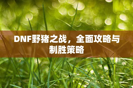 全面攻略与制胜策略图片