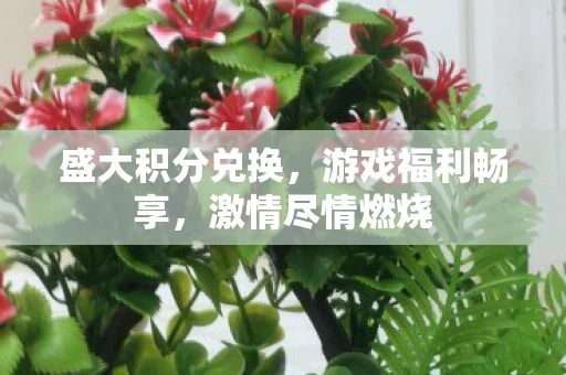 盛大积分兑换图片