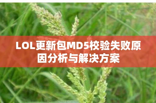 LOL更新包MD5校验失败原因分析与解决方案图片