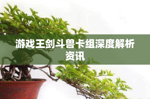 游戏王剑斗兽卡组深度解析资讯图片