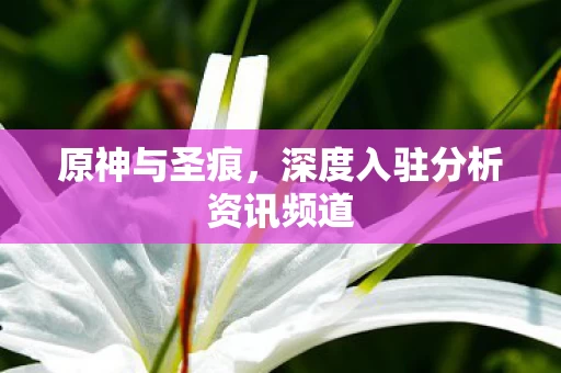 深度入驻分析资讯频道图片