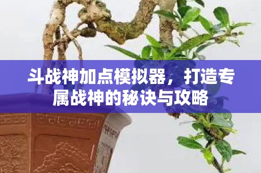 打造专属战神的秘诀与攻略图片