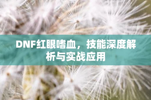 技能深度解析与实战应用图片