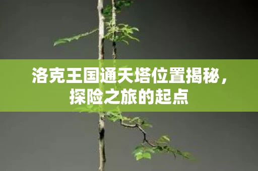 洛克王国通天塔位置揭秘图片