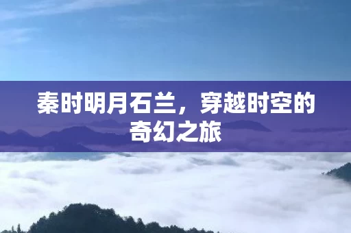 穿越时空的奇幻之旅图片