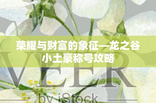 龙之谷小土豪称号攻略图片