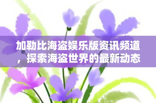 加勒比海盗娱乐版资讯频道图片
