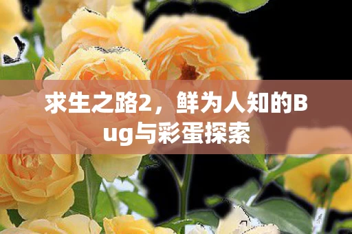 鲜为人知的Bug与彩蛋探索图片