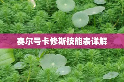 赛尔号卡修斯技能表详解图片