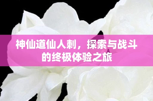 探索与战斗的终极体验之旅图片