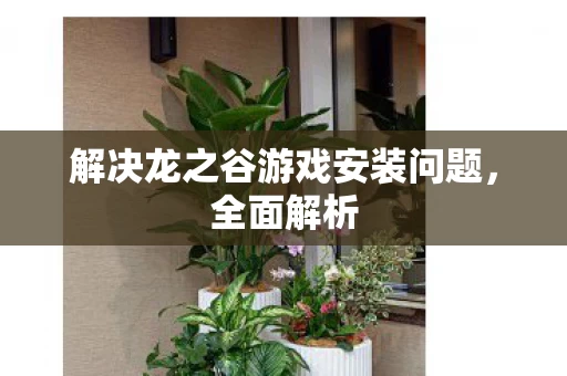 解决龙之谷游戏安装问题图片