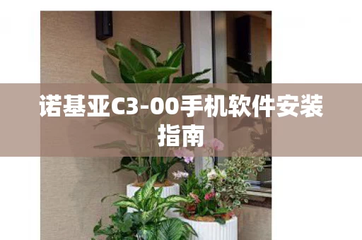 00手机软件安装指南图片