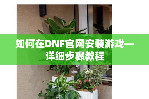 如何在DNF官网安装游戏图片